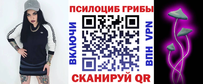 Псилоцибиновые грибы ЛСД  Купить где  Углегорск 