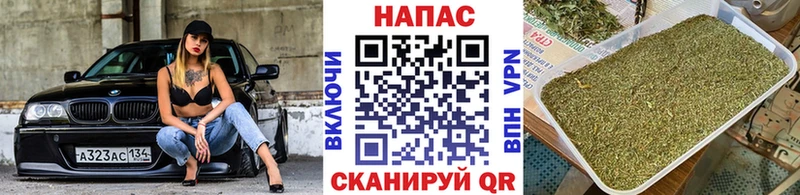 Конопля сатива Купить где Углегорск